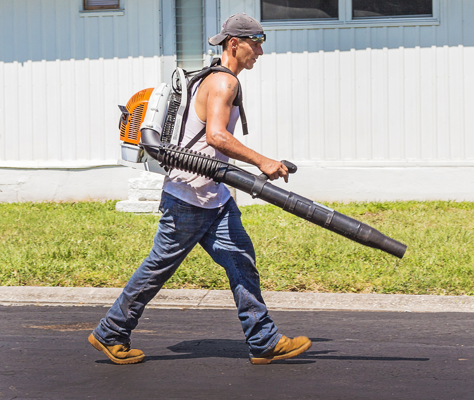 gardening services in Hyderabad