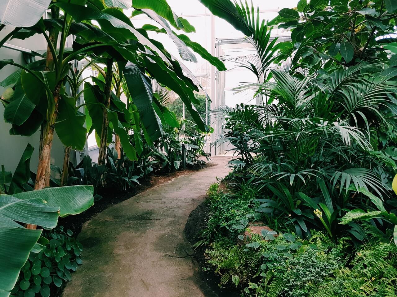 Gardening Services in Hyderabad – Balcony Garden Setup