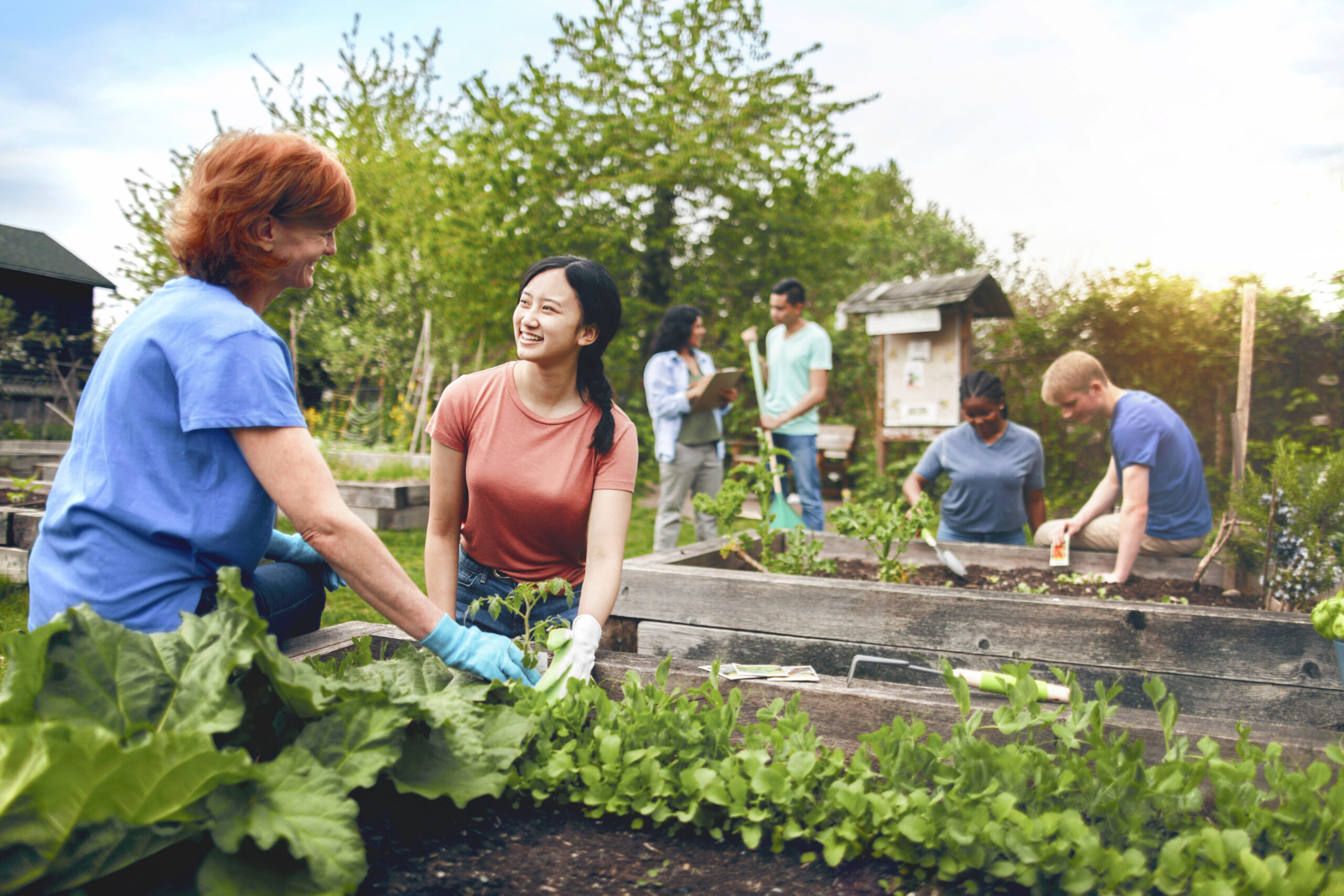 gardening services in Hyderabad