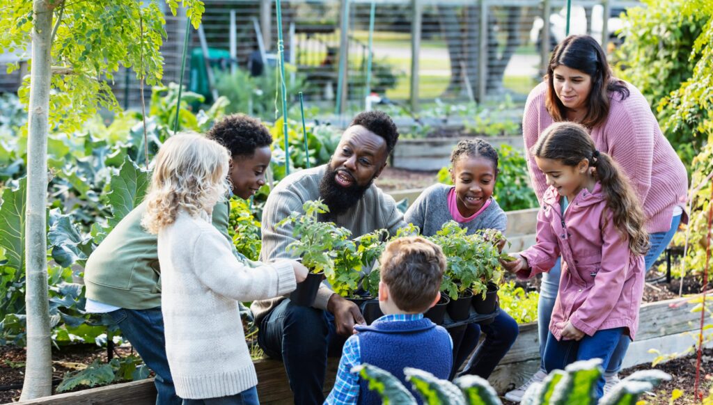 gardening services in Hyderabad